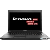 Ноутбук Lenovo B590 (59382014)
