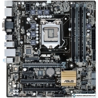 Материнская плата ASUS Q170M-C