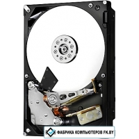 Жесткий диск Hitachi MegaScale DC 4000.B 4TB [HMS5C4040BLE640]