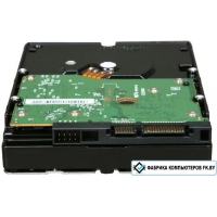 Жесткий диск WD RE4 1 Тб (WD1003FBYX)