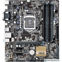 Материнская плата ASUS B150M-A/M.2