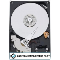 Винчестер WD Caviar SE 80Гб (WD800JD)