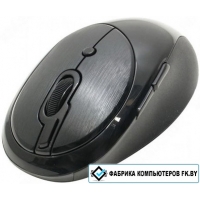 Мышь A4Tech G10-800F-1