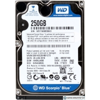 Жесткий диск WD Blue 250GB [WD2500LPCX]