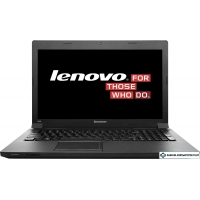 Ноутбук Lenovo B590 (59359268) 8 Гб