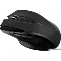 Мышь ACME MW15 High-speed wireless mouse