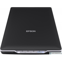 Сканер Epson Perfection V19
