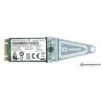SSD Union Memory 256GB M.2 AM620 PCIe RPJTJ256EE1QWX