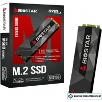 SSD BIOSTAR M500 512GB M500-512GB