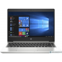 Ноутбук HP ProBook 445 G7 (2D272EA) 16 Гб