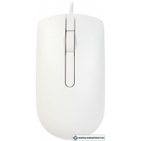 Мышь Dell Optical Mouse MS116 (белый) [570-AAIP]