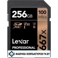 Карта памяти Lexar LSD256B667 SDXC 256GB