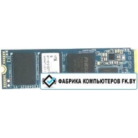 SSD Pioneer APS-SE20G 256GB