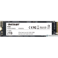 SSD Patriot P300 2TB P300P2TBM28