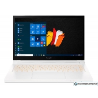 Ноутбук Acer ConceptD 3 Ezel CC314-72G-76F1 (NX.C5HER.002)