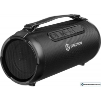 Беспроводная колонка Evolution BOOM-101 (черный)