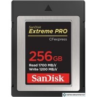 Карта памяти SanDisk Extreme Pro CFexpress Type B SDCFE-256G-GN4NN 256GB
