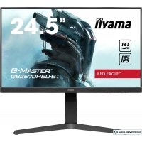Монитор Iiyama G-Master GB2570HSU-B1