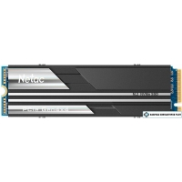 SSD Netac NV5000 1TB NT01NV5000-1T0-E4X