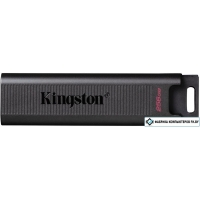 USB Flash Kingston DataTraveler Max 256GB