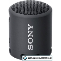 Беспроводная колонка Sony SRS-XB13 (черный)
