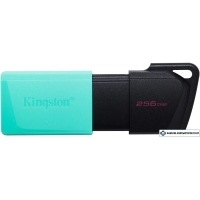 USB Flash Kingston DataTraveler Exodia M 256GB