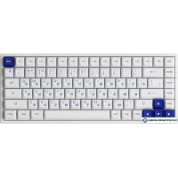 Клавиатура Akko 3084B Plus White & Blue (Akko CS Jelly Pink)