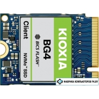 SSD Kioxia BG4 256GB KBG40ZNS256G