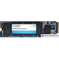 SSD CBR Standard 1TB SSD-001TB-M.2-ST22