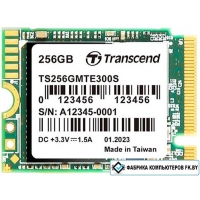 SSD Transcend 300S 256GB TS256GMTE300S