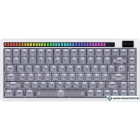 Клавиатура Dareu A84 Pro (White)