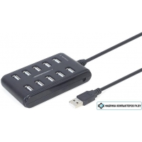 USB-хаб  Gembird UHB-U2P10P-01