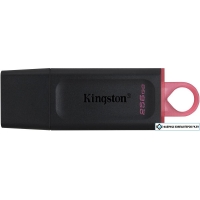 USB Flash Kingston Exodia 256GB