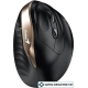 Вертикальная мышь Genius Ergo 8250S (черный/золотистый)