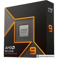 Процессор AMD Ryzen 9 9900X (WOF)