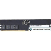 Оперативная память Apacer 16ГБ DDR5 5600 МГц FL.16G2C.PKH