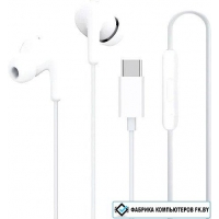 Наушники Xiaomi Type-C Earphones M2413E1 (белый, международная версия)