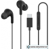 Наушники Xiaomi Type-C Earphones M2413E1 (черный, международная версия)