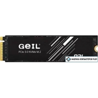 SSD GeIL P3L 256GB P3LFD16I256G