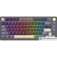 Клавиатура Royal Kludge RK-M75 RGB Phantom (RK Silver)