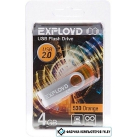 USB Flash Exployd 530 4GB (оранжевый)
