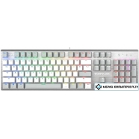 Клавиатура A4Tech Fstyler FS100 Neon (серебристый/серый)