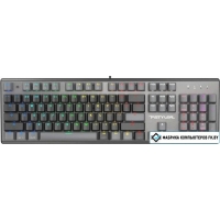 Клавиатура A4Tech Fstyler FS100 Neon (серый/черный)