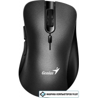 Мышь Genius Ergo 8100S (черный)