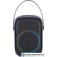 Беспроводная колонка Aiwa PAS-Y600