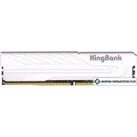 Оперативная память KingBank KJXS 16ГБ DDR4 3200 МГц K5.01.FP049D7201