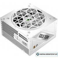 Блок питания 1stPlayer NGDP Gold 750W HA-750BA4-WH
