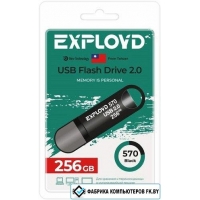 USB Flash Exployd 570 256GB (черный) USB Flash Exployd 570 256GB (черный)