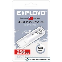 USB Flash Exployd 620 256GB (белый) USB Flash Exployd 620 256GB (белый)