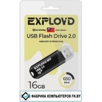 USB Flash Exployd 650 16GB (черный)